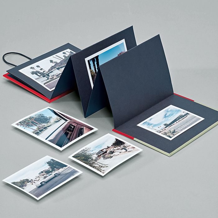 Tannenzweige mit rotem und goldenem Weihnachtsschmuck