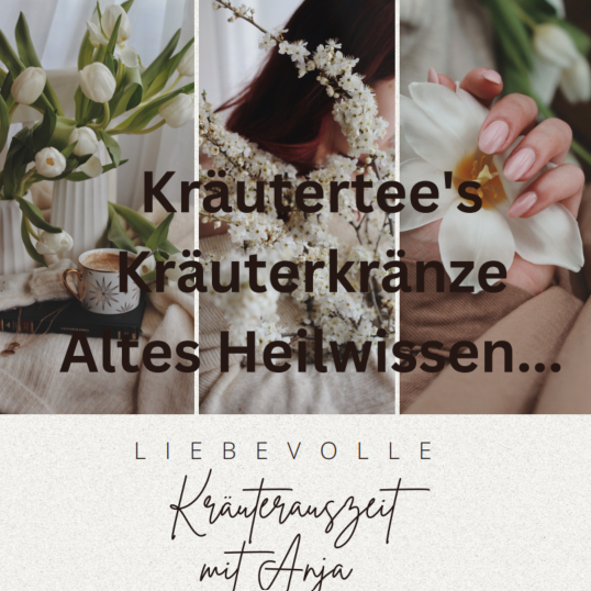 Tannenzweige mit rotem und goldenem Weihnachtsschmuck